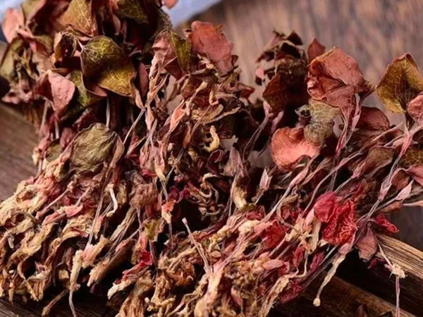 Anoectochilus Roxburghii Kering Kelas Super Tiba di Pasar Khusus