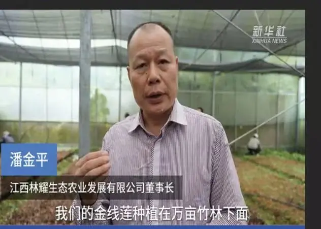 Pan Jinping, Ketua Jiangxi Linyao Ecological Agriculture Development Co., Ltd., diwawancarai oleh Kantor Berita Xinhua