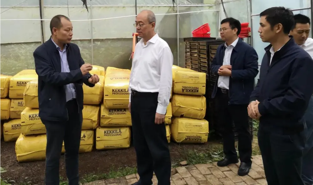 Xie Guanghua, Sekretaris Partai dan Direktur Administrasi Pengobatan Tradisional Tiongkok Provinsi Jiangxi, melakukan penelitian di basis penanaman Anoectochilus