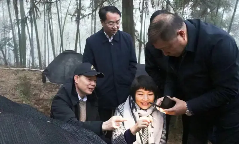 Lu Xiaoqing, mantan Ketua Farmasi Jiangzhong dan Anggota Komite Tetap Komite Partai Provinsi Jiangxi & Direktur Departemen Publisitas, Menginspeksi Pangkalan Penanaman Kami